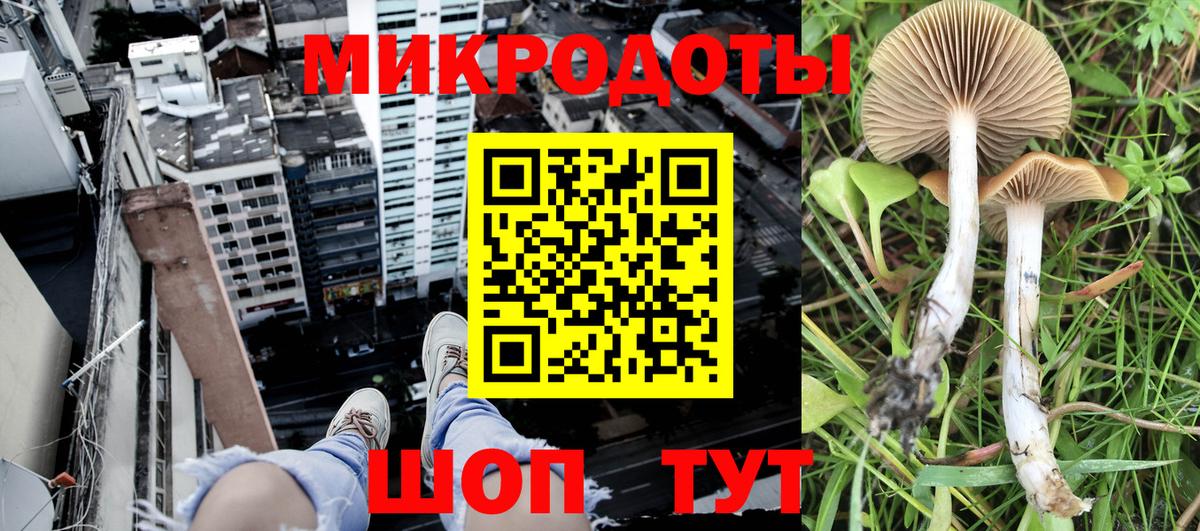 Галлюциногенные грибы мицелий  Вход с VPN  Галлюциногенные грибы Magic Shrooms  купить закладку  Сегежа 