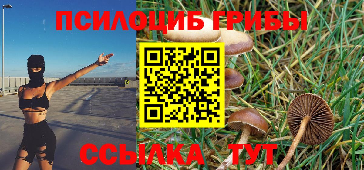 Галлюциногенные грибы Magic Shrooms Сегежа